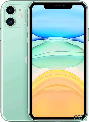 iPhone 11 d'Apple, 64 Go, vert