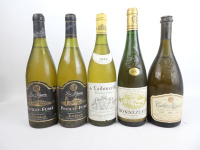 plusieurs bouteilles de vin sont alignées sur une surface blanche