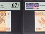 trois types de devises exposés dans la vitrine d'un magasin