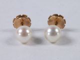 pair of pearl and gold earrings on white background