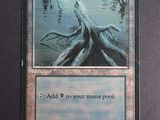 a close up of a card with a picture of a tree