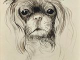 drawing of a black and white drawing of a dog ' s face