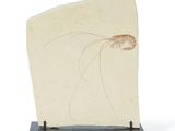 sculpture of a woman ' s head on a piece of paper on a stand