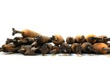a pile of small wooden objects on a white surface