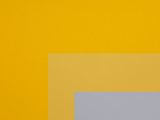 yellow and white square with a blue border on a yellow background