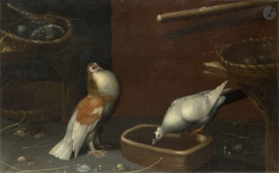 deux oiseaux qui mangent dans un bol