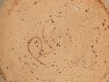 a close up of a bowl with a heart drawn on it