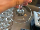 a person holding a wine glass in their hand