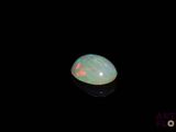 an oplite in the dark with a black background