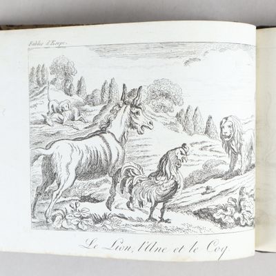 un vieux livre avec une image représentant un cheval et des poules