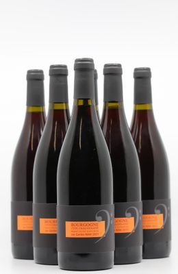 six bouteilles de vin sont alignées sur une surface blanche