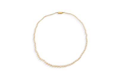 Collier de perles Perles de culture en chute