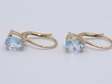 a pair of blue topaze earrings on a white surface