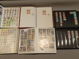 many different types of stamps in a book