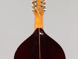 an image of a mandolin hanging from a string on a wall