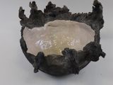 a small bowl that has some sort of animal on it