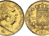 a gold sovereign coin with a crown on top of it
