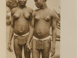 Photo 3/3 du lot