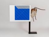 a picture of a bug that is hanging on the wall