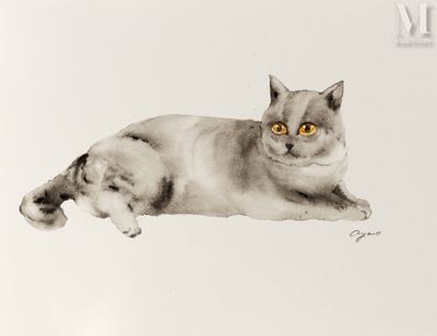 OTANI, Ayano (Né en 1988) Gatto grigio