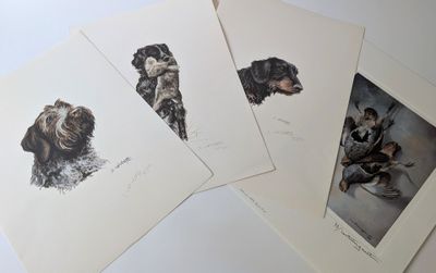 quatre gravures représentant des chiens posés sur une table, sur fond blanc