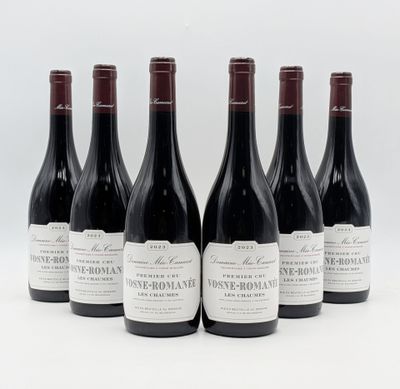 six bouteilles de vin sont alignées sur une surface blanche