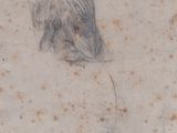 le dessin d'une patte de chien sur un carrelage