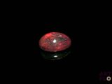 a close up of a red oplite on a black surface
