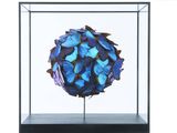 a glass display case with a blue flower inside of it