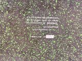 a picture of a book with green splats on it