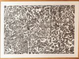 un dessin en noir et blanc représentant un bouquet de fleurs, dans un cadre en bois