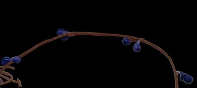 a picture of a necklace with blue beads on a black background