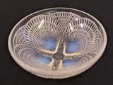 a glass plate with a design on it on a table