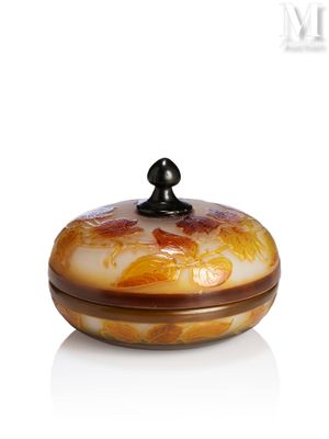une boîte en verre avec un couvercle, posée sur une surface blanche