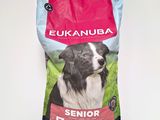 eukanubaa senior large breed dog food