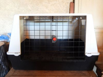 un chat dans une cage posée sur une table en bois