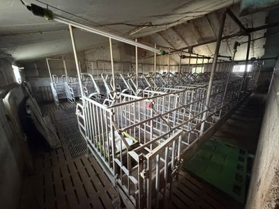 many cages in a room with a lot of animals in them