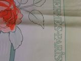 a drawing of a rose on a sheet of paper