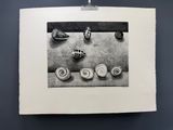 une photo en noir et blanc représentant des coquillages posés sur une feuille de papier