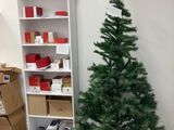 a small christmas tree in the corner of a room