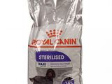royal canin maxi sterilised dog food
