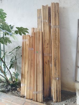 un tas de tiges de bambou à côté d'une plante en pot