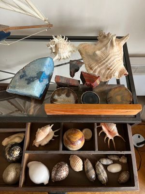 une table en verre sur laquelle se trouve un tiroir rempli de coquillages