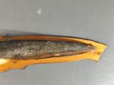 a fish that is sitting on top of a piece of wood