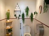 des toilettes dans une salle de bains avec des plantes accrochées au mur