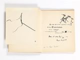 un livre ouvert sur lequel figurent les dessins d'un cheval et d'un oiseau