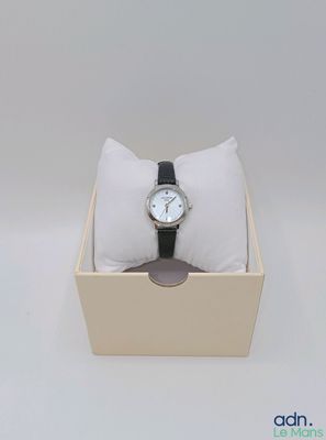 une montre dans une boîte sur laquelle est posé un coussin
