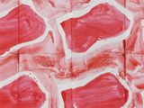 painting of red and white squares of paint on a piece of paper