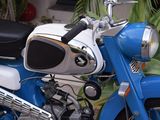a blue and white motorcycle parked next to a green plant