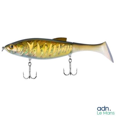 un poisson suspendu à un hameçon sur fond blanc